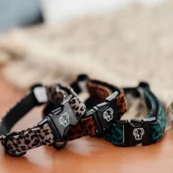 KENTUCKY DOGWEAR Collier pour chien Leopard - Kentucky< Colliers Et Laisses Pour Chien