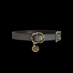 KENTUCKY DOGWEAR Collier pour chien Loop -< Colliers Et Laisses Pour Chien