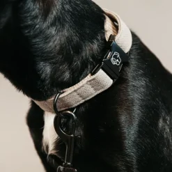 KENTUCKY DOGWEAR Collier pour chien Lézard - Kentucky< Colliers Et Laisses Pour Chien