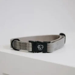 KENTUCKY DOGWEAR Collier pour chien Lézard - Kentucky< Colliers Et Laisses Pour Chien