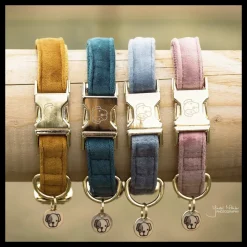 KENTUCKY DOGWEAR Collier pour chien Velvet -< Colliers Et Laisses Pour Chien