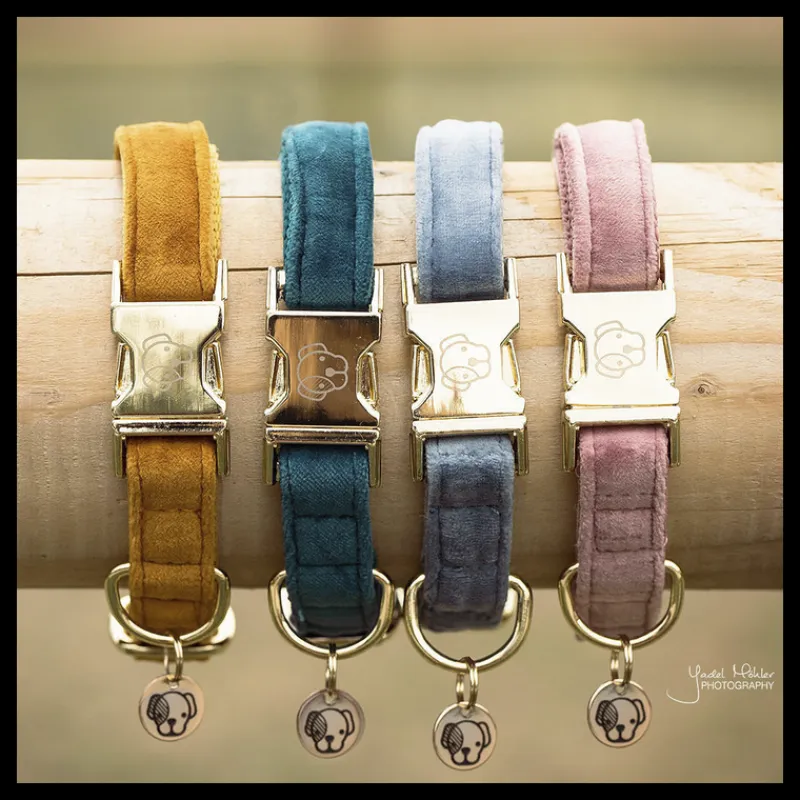 KENTUCKY DOGWEAR Collier pour chien Velvet -< Colliers Et Laisses Pour Chien