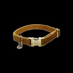 KENTUCKY DOGWEAR Collier pour chien Velvet -< Colliers Et Laisses Pour Chien
