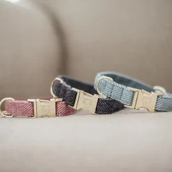 KENTUCKY DOGWEAR Collier pour chien Wool -< Colliers Et Laisses Pour Chien