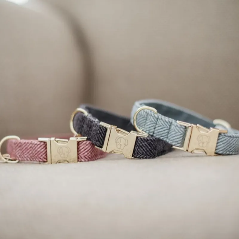 KENTUCKY DOGWEAR Collier pour chien Wool -< Colliers Et Laisses Pour Chien