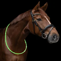 WALDHAUSEN Cordelette cheval led -< Equipement De Randonnée|Equipement Réfléchissant Cavalier