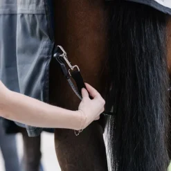 HORSEWARE Courroies de cuisses couverture cheval -< Accessoires Entretien Couvertures