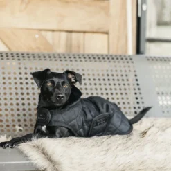 KENTUCKY DOGWEAR Couverture chien 160 g -< Manteau Pour Chien