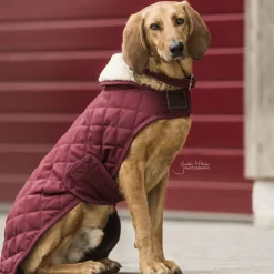 KENTUCKY DOGWEAR Couverture chien 160 g -< Manteau Pour Chien