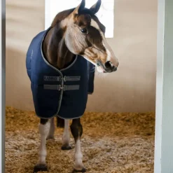HORSEWARE Couverture écurie cheval 400 g Rambo Stable -< Couvertures De Box
