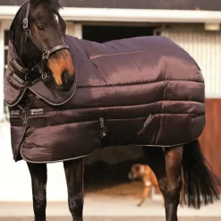 HORSEWARE Couverture écurie cheval avec couvre-cou 550 g Amigo Insulator Plus -< Couvertures De Box