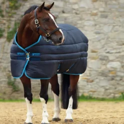 HORSEWARE Couverture écurie cheval avec couvre-cou 550 g Amigo Insulator Plus -< Couvertures De Box