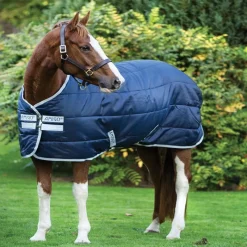 HORSEWARE Couverture de box Amigo Insulator 200gr -< Couvertures De Box