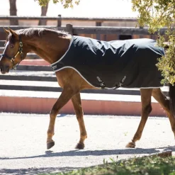 HORSEWARE Couverture de marcheur imperméable Amigo Walker 200g -< Couvre-Reins Et Couvertures De Marcheur