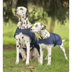 WALDHAUSEN Couverture de pluie chien -< Manteau Pour Chien