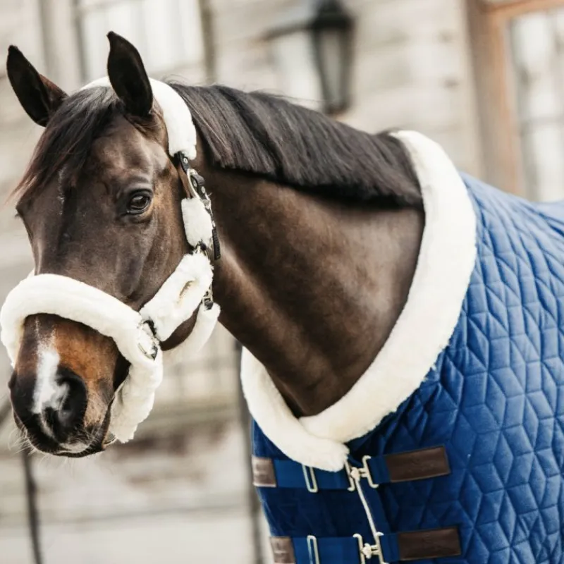KENTUCKY HORSEWEAR Couverture de présentation cheval Velvet 160 gr - Kentucky< Couvertures De Box