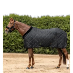 WALDHAUSEN Couverture de transport et show cheval Exclusive 50g -< Couvertures De Box