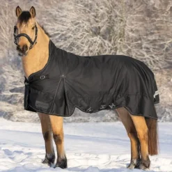 WALDHAUSEN Couverture d'extérieur cheval Scandic encolure haute 200 g -< Couvertures D'Extérieur Cheval