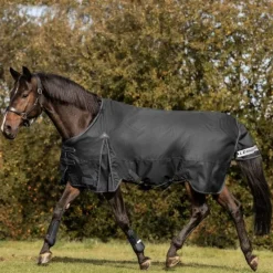 WALDHAUSEN Couverture d'extérieur cheval Arctic 200 g -< Couvertures D'Extérieur Cheval