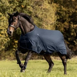 WALDHAUSEN Couverture d'extérieur cheval Arctic 200 g -< Couvertures D'Extérieur Cheval
