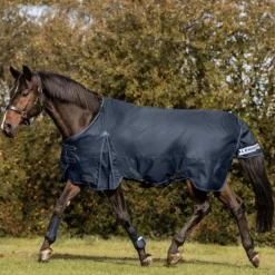 WALDHAUSEN Couverture d'extérieur cheval Arctic 50 g -< Couvertures D'Extérieur Cheval