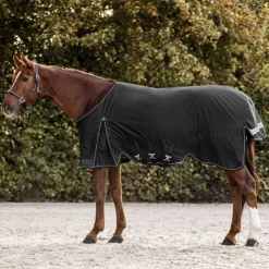 WALDHAUSEN Couverture d'extérieur cheval Scandic 300 g -< Couvertures D'Extérieur Cheval