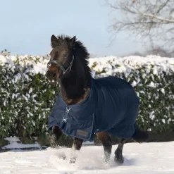 WALDHAUSEN Couverture d'extérieur cheval Nordic 200 g -< Couvertures D'Extérieur Cheval