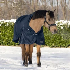 WALDHAUSEN Couverture d'extérieur cheval Scandic encolure haute 100 g -< Couvertures D'Extérieur Cheval