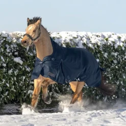 WALDHAUSEN Couverture d'extérieur cheval Scandic encolure haute 100 g -< Couvertures D'Extérieur Cheval