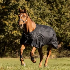 WALDHAUSEN Couverture d'extérieur cheval Scandic 50 g -< Couvertures D'Extérieur Cheval