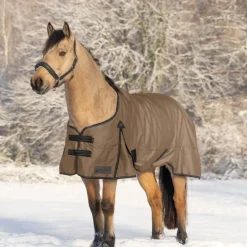WALDHAUSEN Couverture d'extérieur cheval Arctic Light 0 g -< Couvertures D'Extérieur Cheval