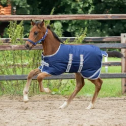 BUCAS Couverture exterieur poulain imperméable Ripstop 50g -< Couvertures D'Extérieur Cheval