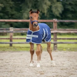 BUCAS Couverture exterieur poulain imperméable Ripstop 50g -< Couvertures D'Extérieur Cheval