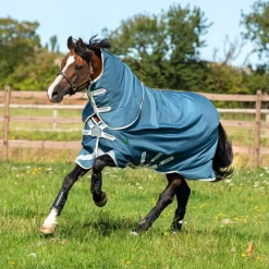 HORSEWARE Couverture extérieur cheval Amigo Am Eco 12 plus turnout 100g -< Couvertures D'Extérieur Cheval