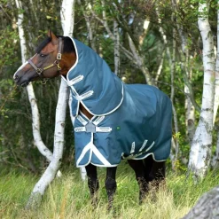 HORSEWARE Couverture extérieur cheval Amigo Am Eco 12 plus turnout 100g -< Couvertures D'Extérieur Cheval