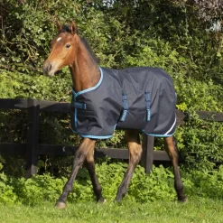 HORSEWARE Couverture extérieur poulain 50g Foal Rug -< Couvertures D'Extérieur Cheval