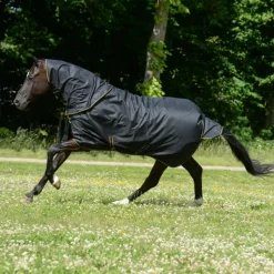 BUCAS Couverture extérieur cheval couvre-cou amovible 50g Irish Turnout Light -< Couvertures D'Extérieur Cheval