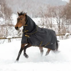 BUCAS Couverture extérieur cheval couvre-cou amovible 50g Irish Turnout Light -< Couvertures D'Extérieur Cheval