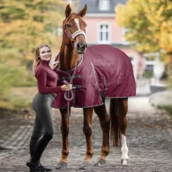 WALDHAUSEN Couverture extérieur cheval 200g Economic Clip'in system -< Couvertures D'Extérieur Cheval