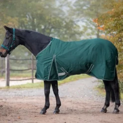 WALDHAUSEN Couverture extérieur cheval 200g Economic Clip'in system -< Couvertures D'Extérieur Cheval