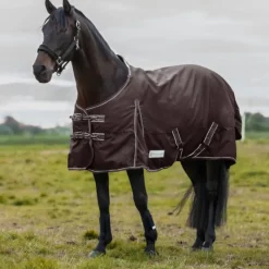WALDHAUSEN Couverture extérieur cheval 200g Economic Clip'in system -< Couvertures D'Extérieur Cheval