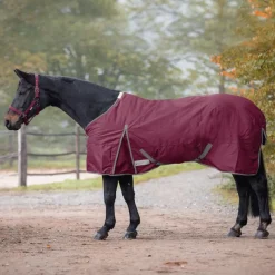 WALDHAUSEN Couverture extérieur cheval 200g Economic Clip'in system -< Couvertures D'Extérieur Cheval