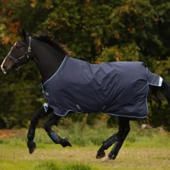 HORSEWARE Couverture extérieur cheval 250g Amigo Bravo 12 Original Medium -< Couvertures D'Extérieur Cheval
