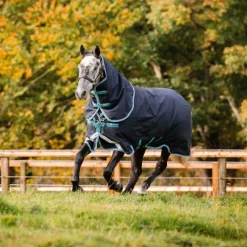 HORSEWARE Couverture extérieur cheval 250g Amigo Bravo 12 Plus Medium -< Couvertures D'Extérieur Cheval