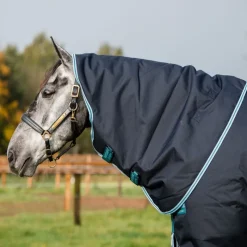 HORSEWARE Couverture extérieur cheval 250g Amigo Bravo 12 Plus Medium -< Couvertures D'Extérieur Cheval