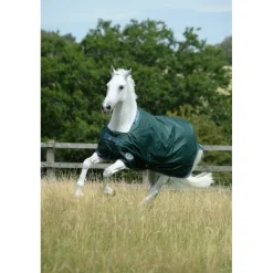 BUCAS Couure extérieur cheval Green line 300g en tissu recyclable -< Couvertures D'Extérieur Cheval