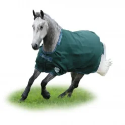 BUCAS Couure extérieur cheval Green line 300g en tissu recyclable -< Couvertures D'Extérieur Cheval