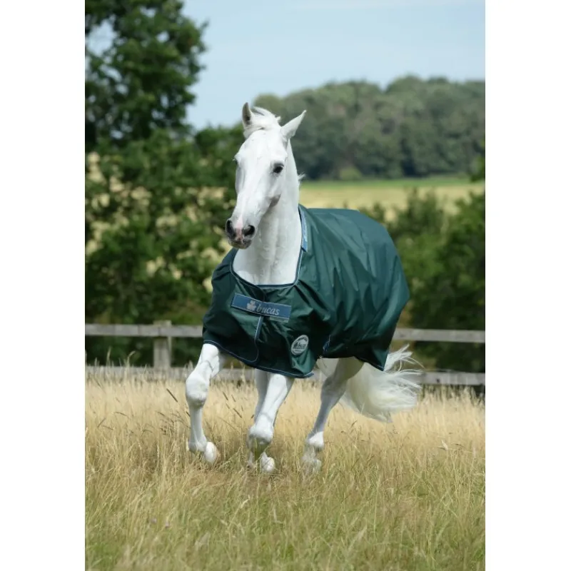 BUCAS Couure extérieur cheval Green line 300g en tissu recyclable -< Couvertures D'Extérieur Cheval