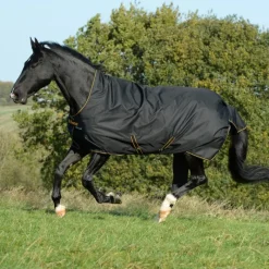 BUCAS Couverture extérieur cheval encolure haute 50g Irish Turnout Light -< Couvertures D'Extérieur Cheval