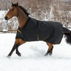 BUCAS Couverture extérieur cheval encolure haute 50g Irish Turnout Light -< Couvertures D'Extérieur Cheval